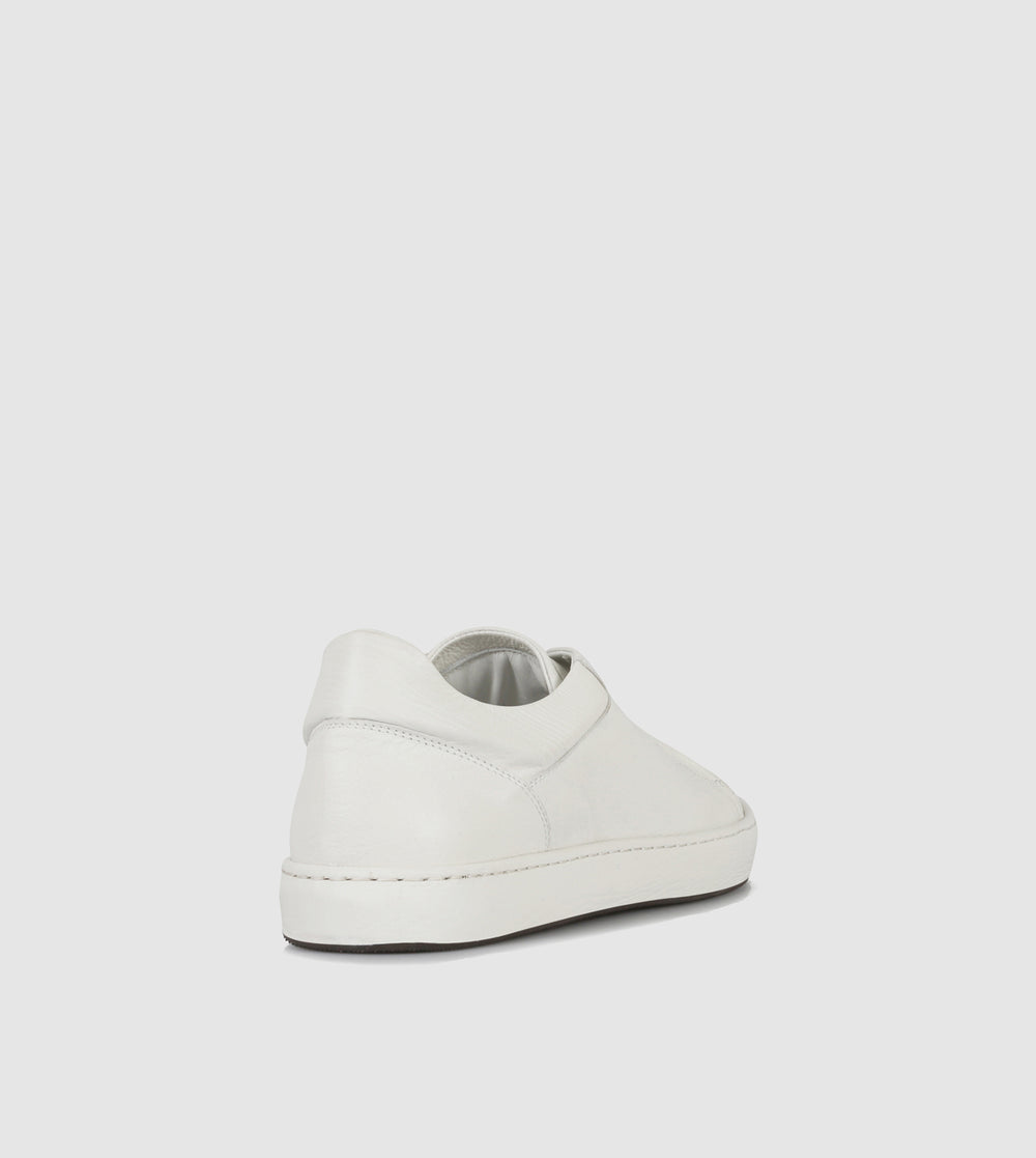 Gordy Low Top Sneakers by Brando